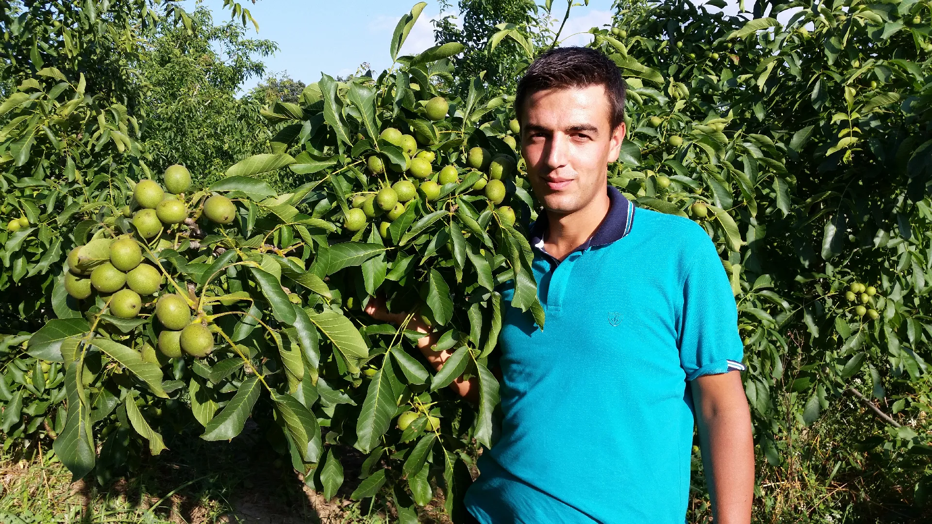 Yenice Fidan Galeri 1