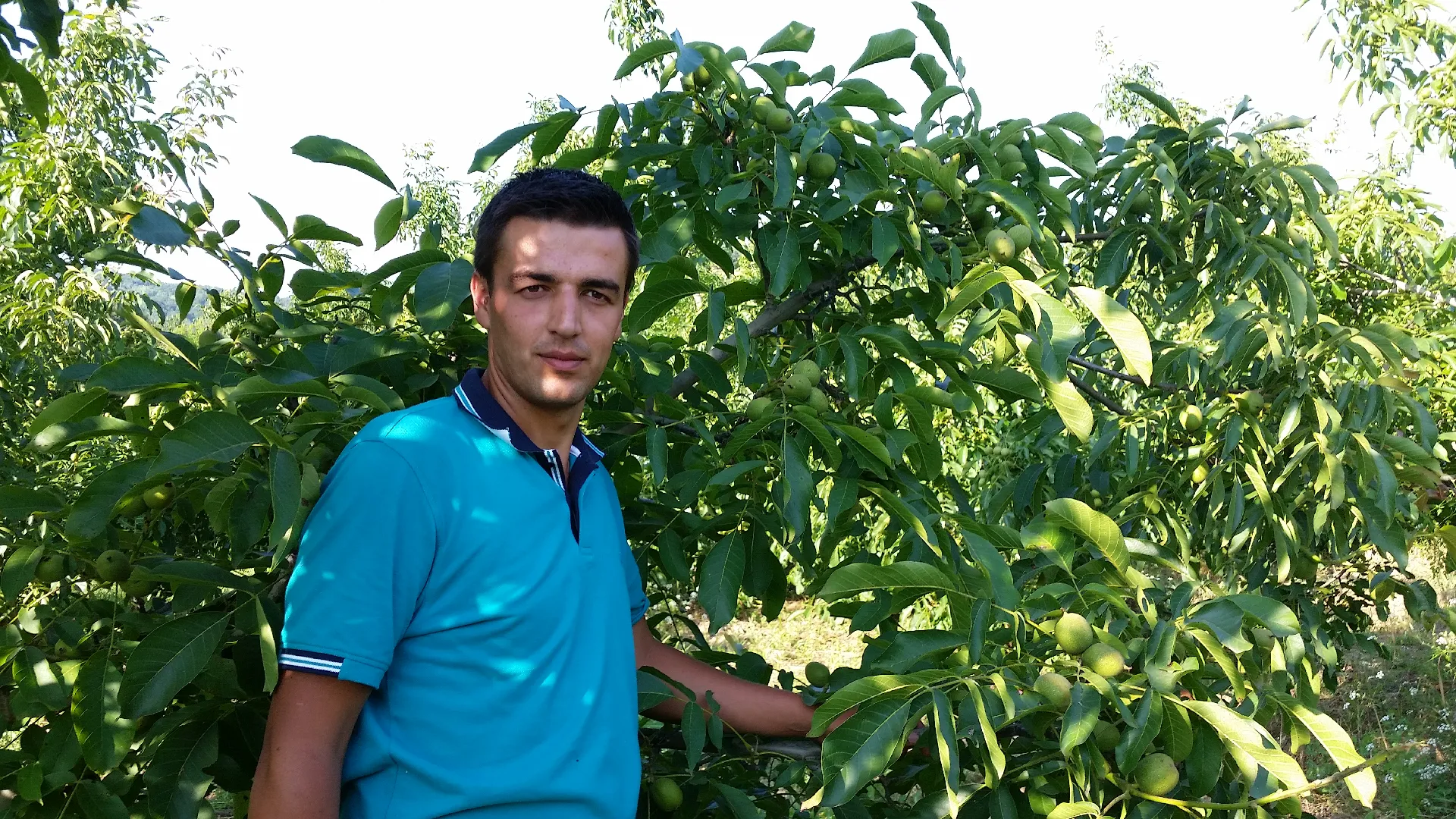 Yenice Fidan Galeri 3
